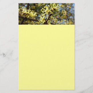 Papelería Witch Hazel Flowers