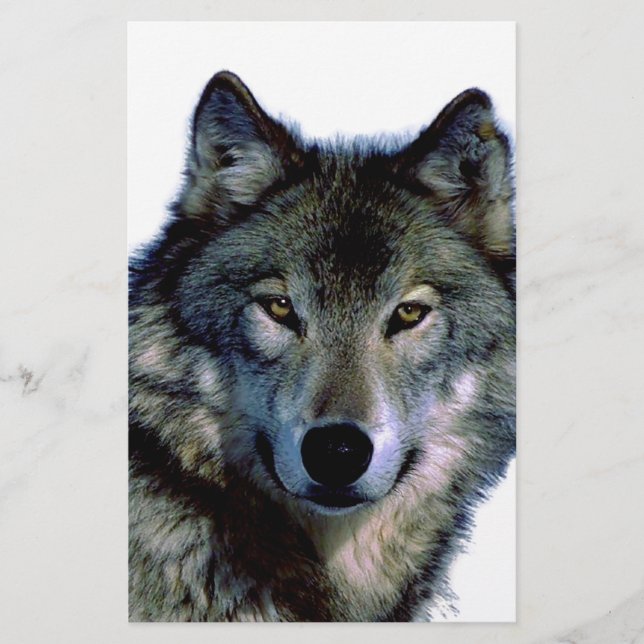 Papelería Wolf Portrait (Anverso)