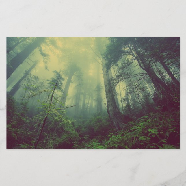 Papelería Woodland desde abajo (Anverso)