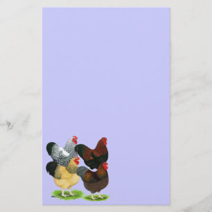 Papelería Wyandotte: El surtido de gallos