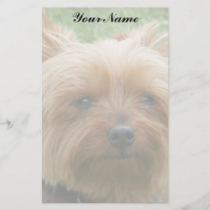 Papelería Yorkshire Terrier