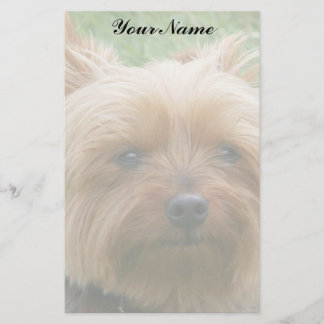 Papelería Yorkshire Terrier