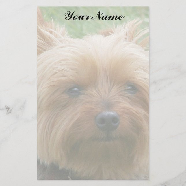 Papelería Yorkshire Terrier (Anverso)