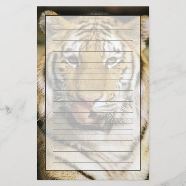 Papelería Zoológico de Tiger Michigan (Anverso)