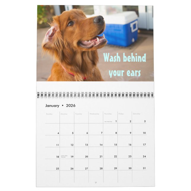 Papeloso calendario 2011 (Jan 2026)