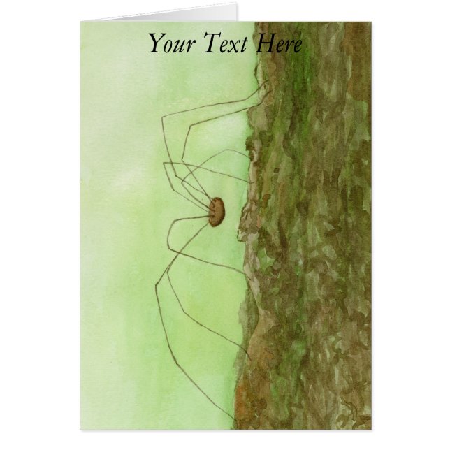 Papi Long Legs (Frente)