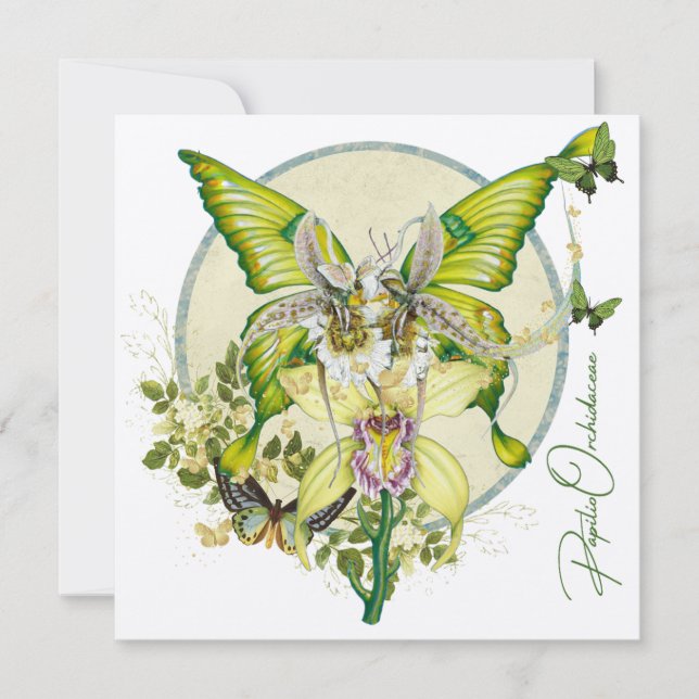 Papilio Orchidaceae (Anverso)