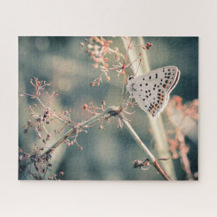 Papillon de rompecabezas 520 pcs