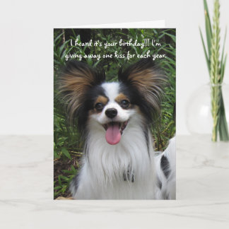 Papillon eres la vieja tarjeta de cumpleaños