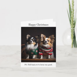Papillon perros en la tarjeta de sudaderas para Na