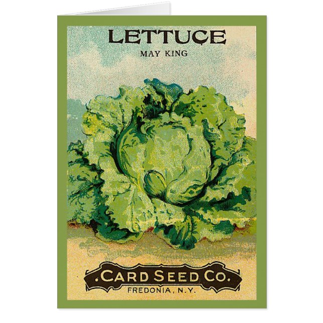 Paquete de la semilla de la lechuga (Frente)