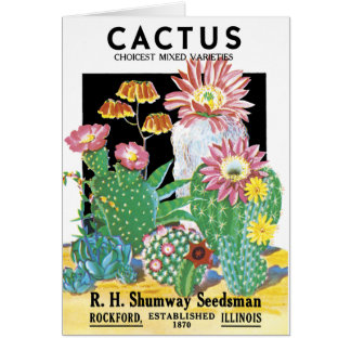 Paquete de la semilla del cactus