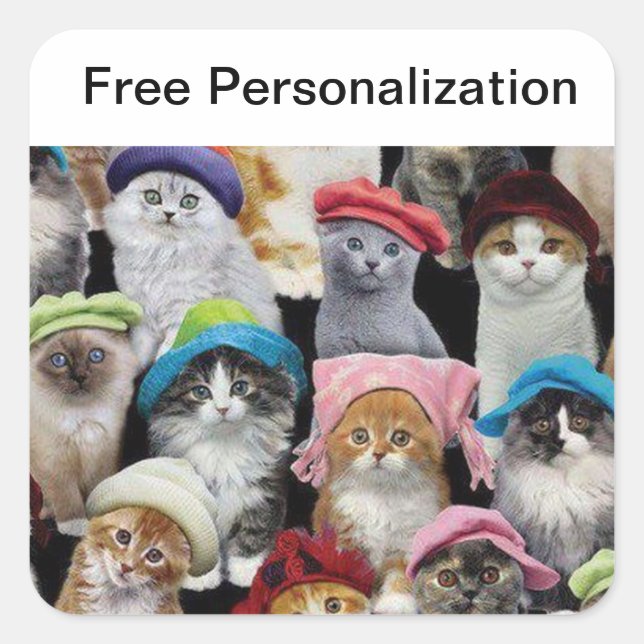 Paquete de Pegatinas de Cat Lovers (Anverso)