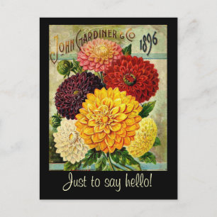 Paquete de semillas de flores de época - postal