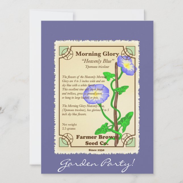 Paquete de Semillas de Gloria de la Mañana (Anverso)