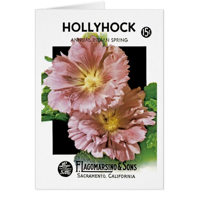 Paquete de Semillas Vintage Hollyhocks (Frente)