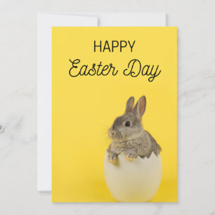 Paquete de tarjetas de Pascua - Conejo y pollito d