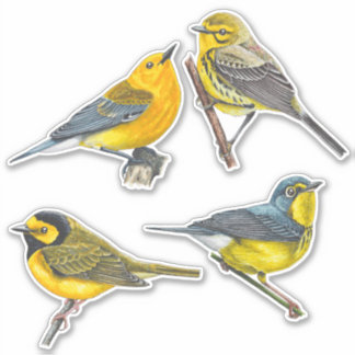 Paquete de valores de Pegatinas de Warblers