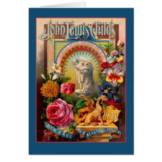 Paquete raro de la semilla de flores de Juan Lewis