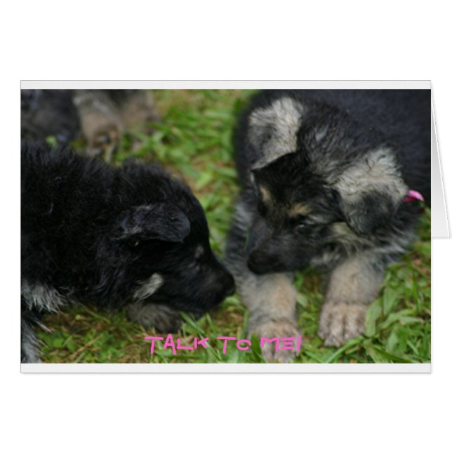 Paquetes (Anverso (Horizontal))