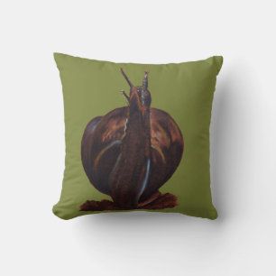 Paquetes De Caracol Dibujando Cojín De Lanzamiento