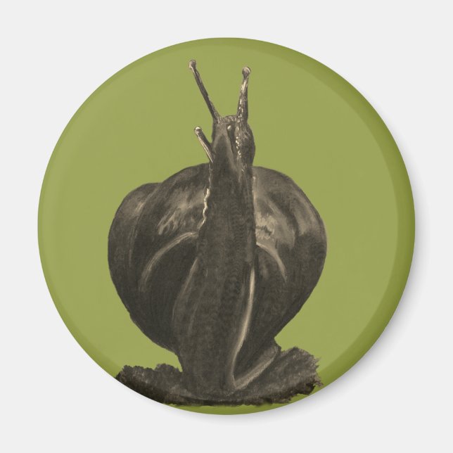 Paquetes de caracol Imán redondo (Frente)