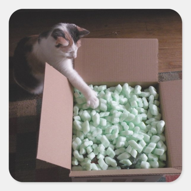 Paquetes de pegatinas (Anverso)