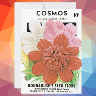 Paquetes de Semillas Vintage, Flores Cosmos Garden