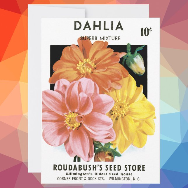 Paquetes de Semillas Vintage, Flores Dahlia Garden (Subido por el creador)
