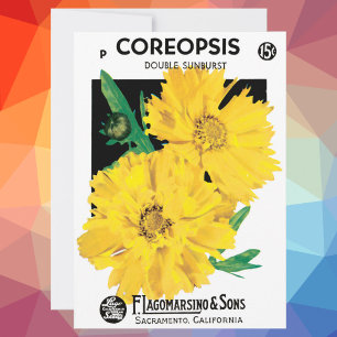 Paquetes de Semillas Vintage, Flores de Coreopsis 