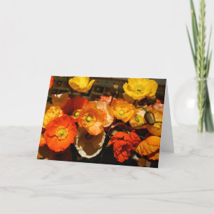 Paquetes de tarjetas de felicitación en blanco