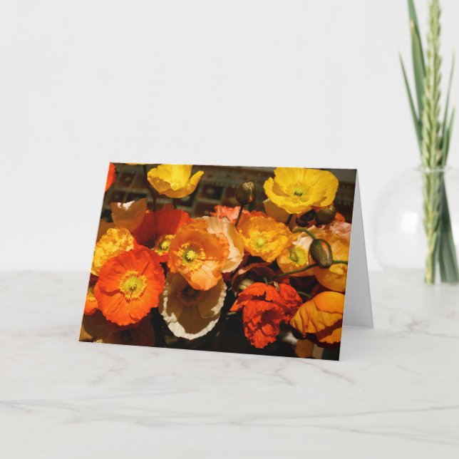 Paquetes de tarjetas de felicitación en blanco (Anverso)