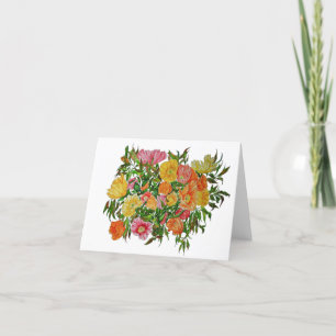 Paquetes de tarjetas de felicitación en blanco