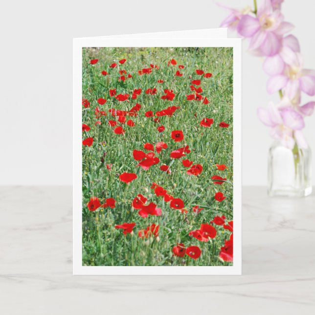 Paquetes en la tarjeta de campo (Orquídea)