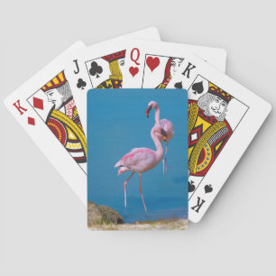 Par de cartas de juego de flamencos rosados