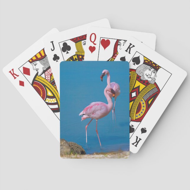 Par de cartas de juego de flamencos rosados (Reverso)