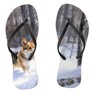 Par de Chanclas