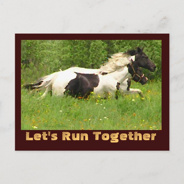 Par de postales de pintos (Anverso)