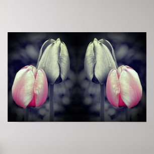 Par de Tulipanes Arte Negro y Blanco con Color Par