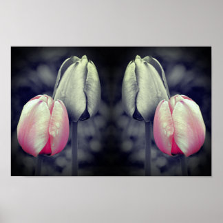 Par de Tulipanes Arte Negro y Blanco con Color Par