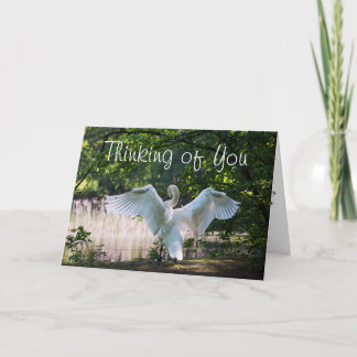 Para alguien que es una tarjeta de terminal