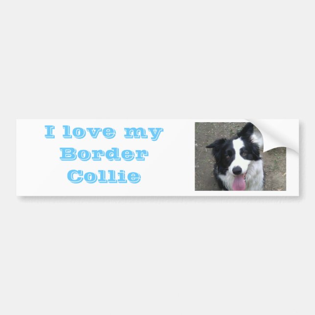 Para Coche Amo a mi pegatina de Bumber del border collie (Frente)