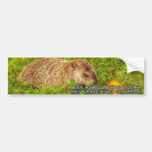 Para Coche Bese un groundhog hoy. Consiga a un pegatina del