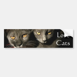 Para Coche Cats de amor Pegatina de parachoques