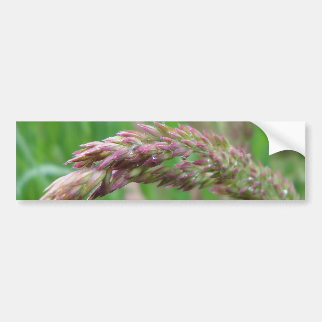 Para Coche Cómo la hierba crece y crece la pegatina de parach (Frente)