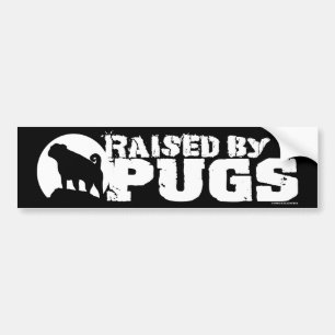 Para Coche CRIADO POR PUGS pegatina al parachoques negro