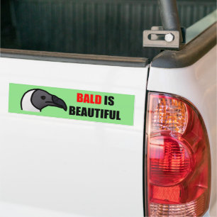 Para Coche El calvo es un bello Pegatina buitre