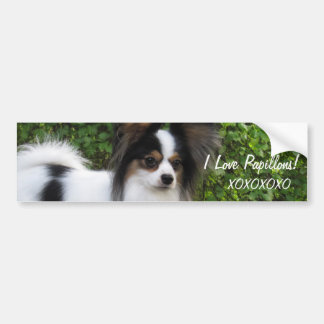 Para Coche El pegatina de la perrera del héroe del beso de