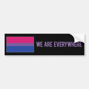 Para Coche Estamos por todas partes el pegatina (bisexual)