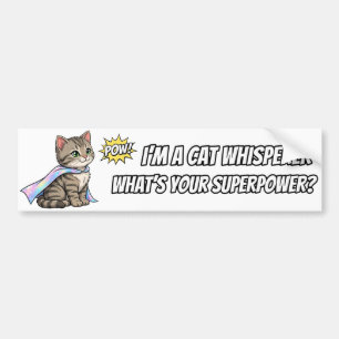 Para Coche Gatito Susurrador Pegatina Divertida Parachoques T